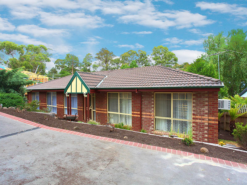 Brimming with .................... Picture 1