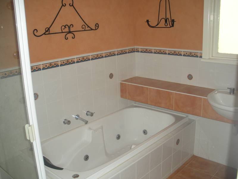 So Much Room To Move! Picture 3