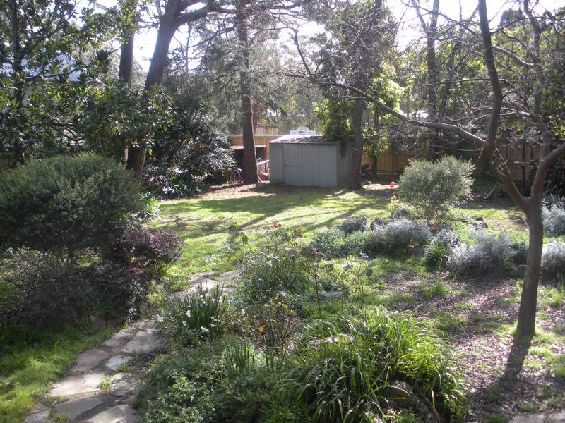 So Much Room To Move! Picture 2