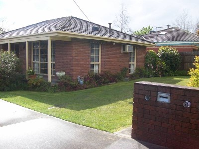 Bright and Cute! Picture Bright and Cute! Picture