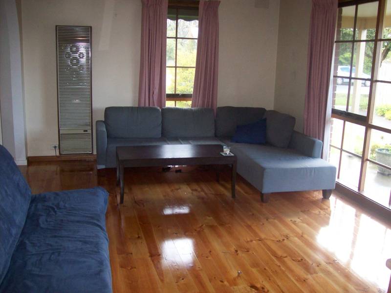 Bright and Cute! Picture 2