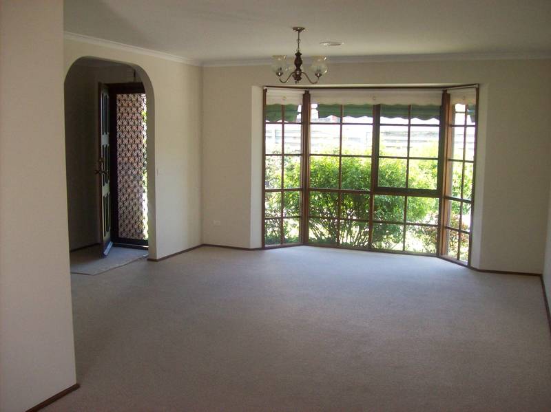 Surprisingly Spacious Picture 3