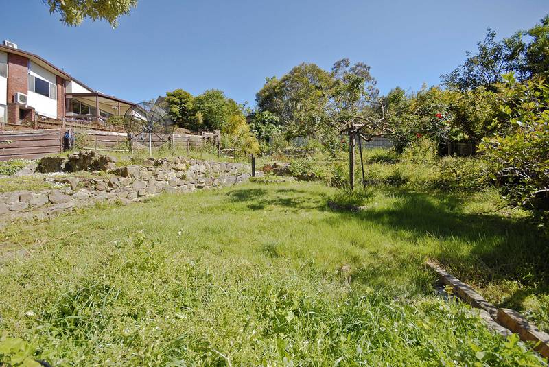 A Golden Opportunity Awaits! Picture 3