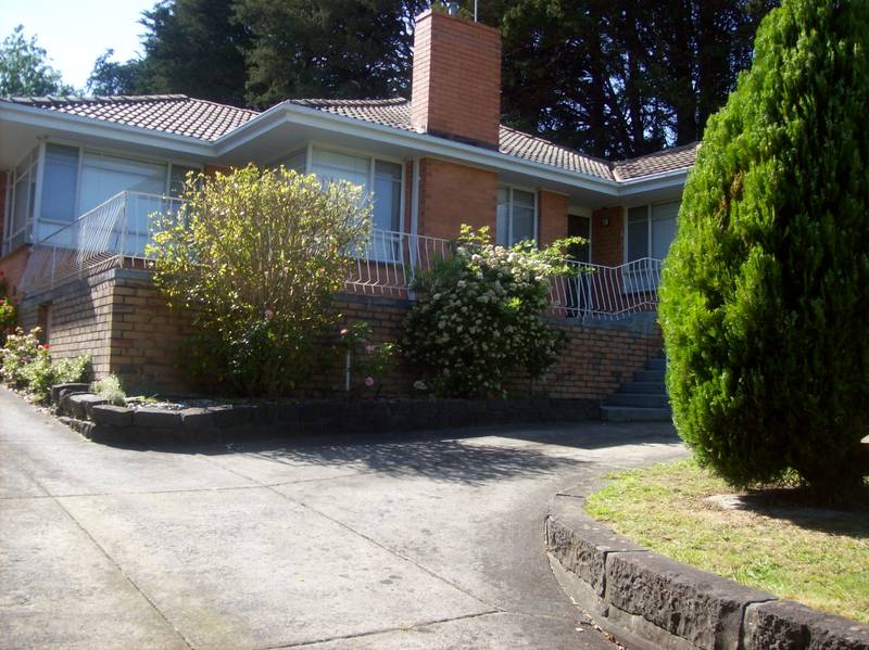 Family Favourite Picture 1