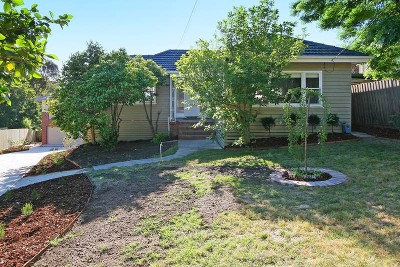 A Shining Example Picture