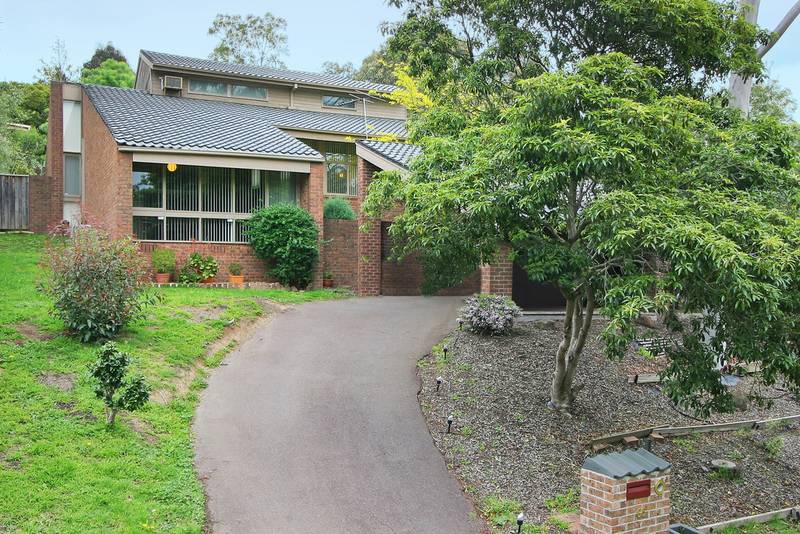 Split with Personality Picture 1