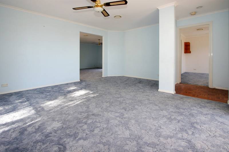 The Complete Package......with all the extras included Picture 3