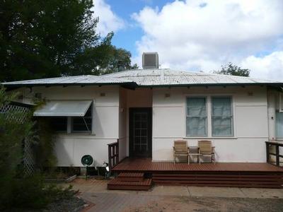 Pick of the Bunch Picture