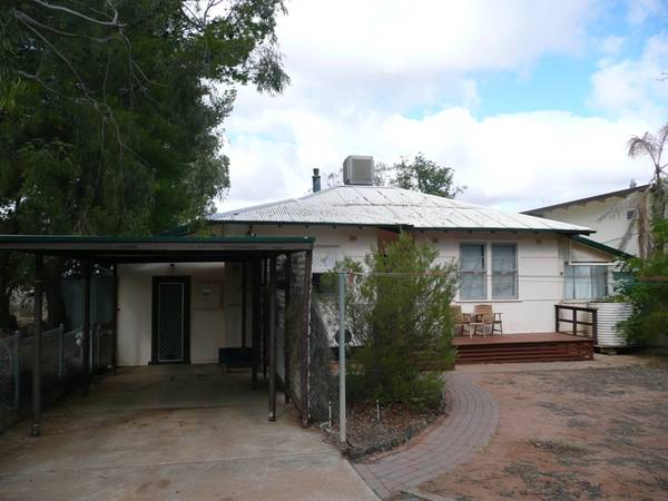 Pick of the Bunch Picture 2