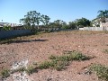 Level Allotment Picture