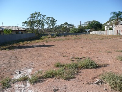 Level Allotment Picture