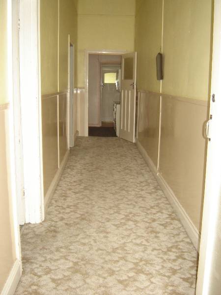 54 Wolfram Street Picture 2