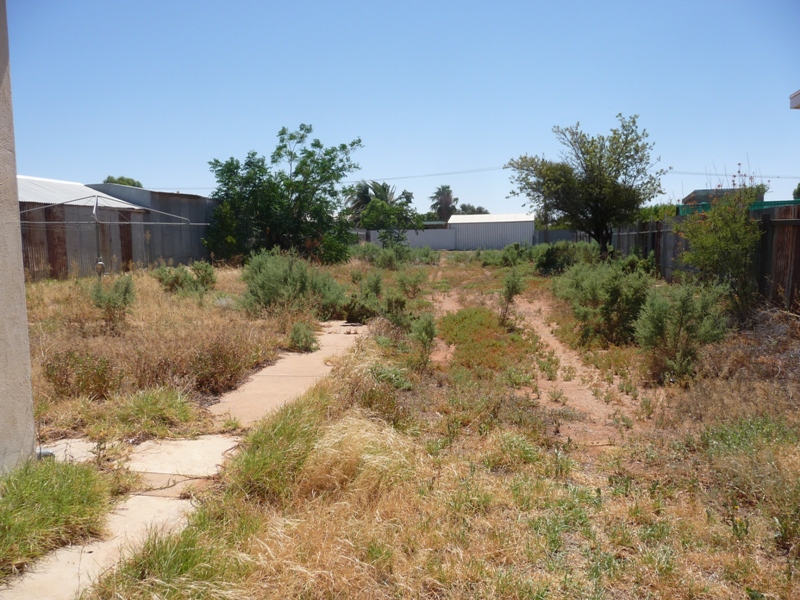 Building Option Picture 1