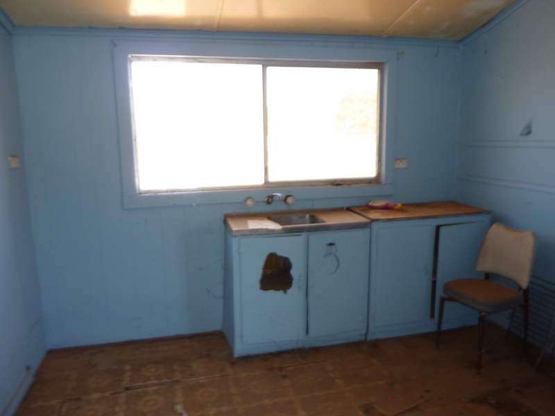 Ugly Duckling Picture 2