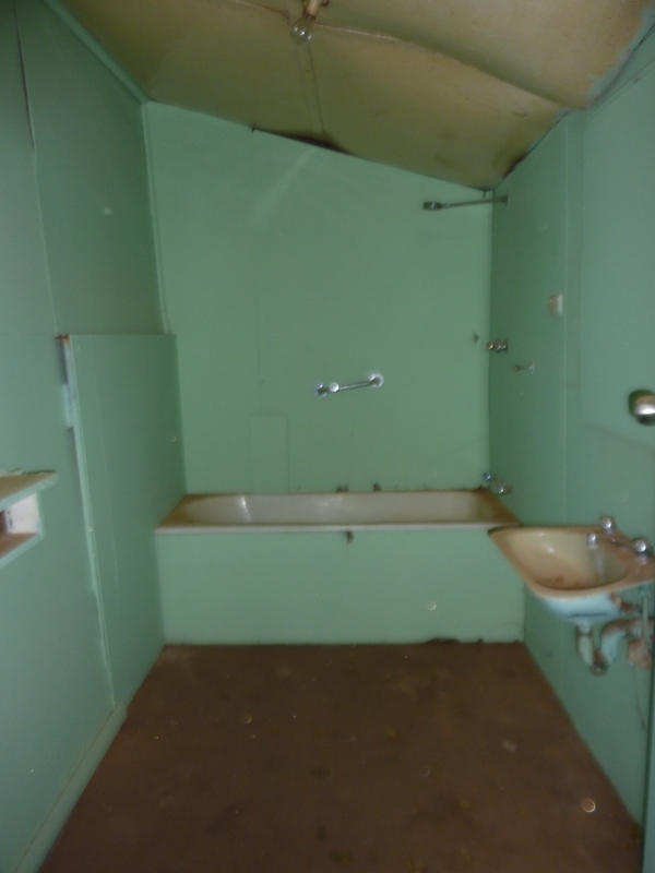 Ugly Duckling Picture 3