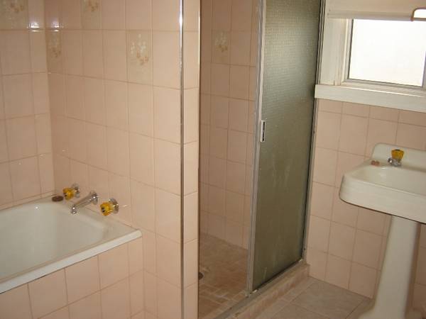 155 Gaffney Street Picture 3