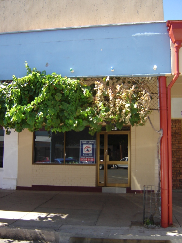 415 Argent Street Picture 1