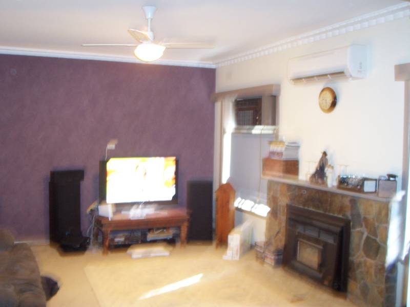 5 ACRES & HUGE SHEDDING Picture 2