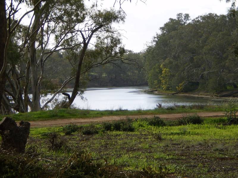 GREAT MURRAY RIVER VIEWS Picture 2