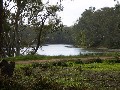 GREAT MURRAY RIVER VIEWS Picture