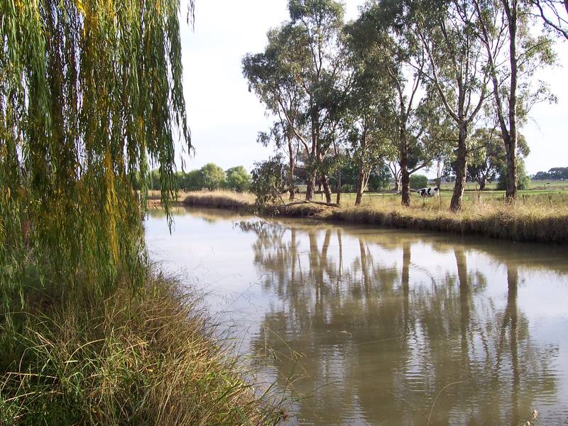 HOME SWEET HOME Picture 3