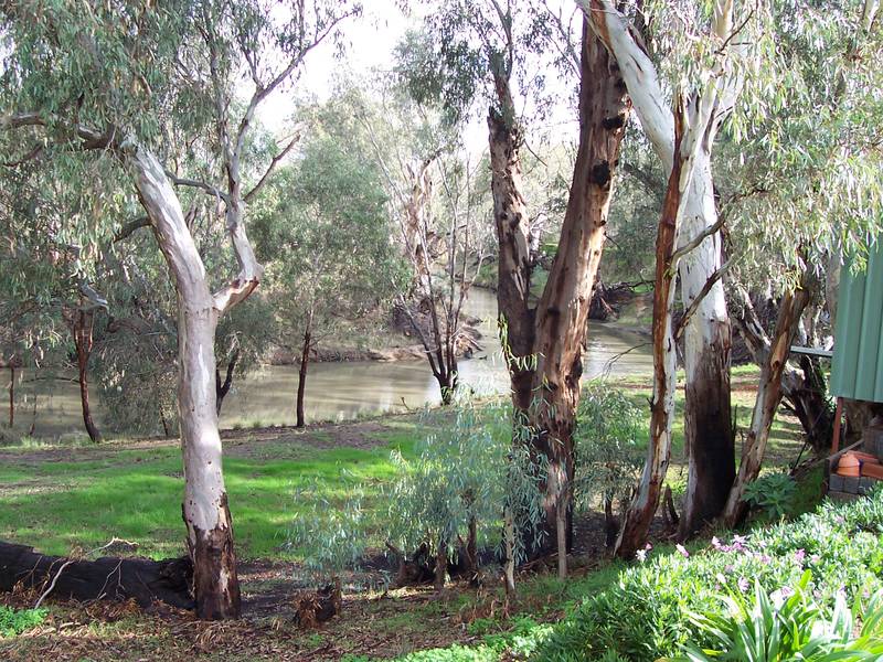 PEACE & TRANQUILITY Picture 2