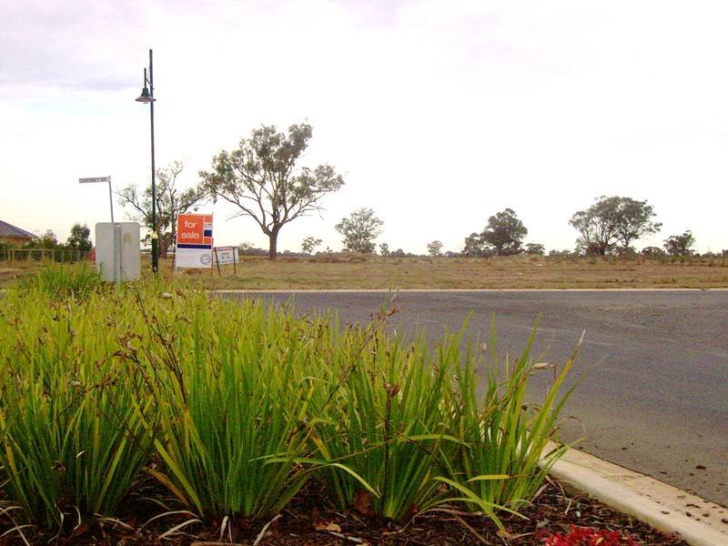 THIS IS THE PLACE TO BE Picture 2