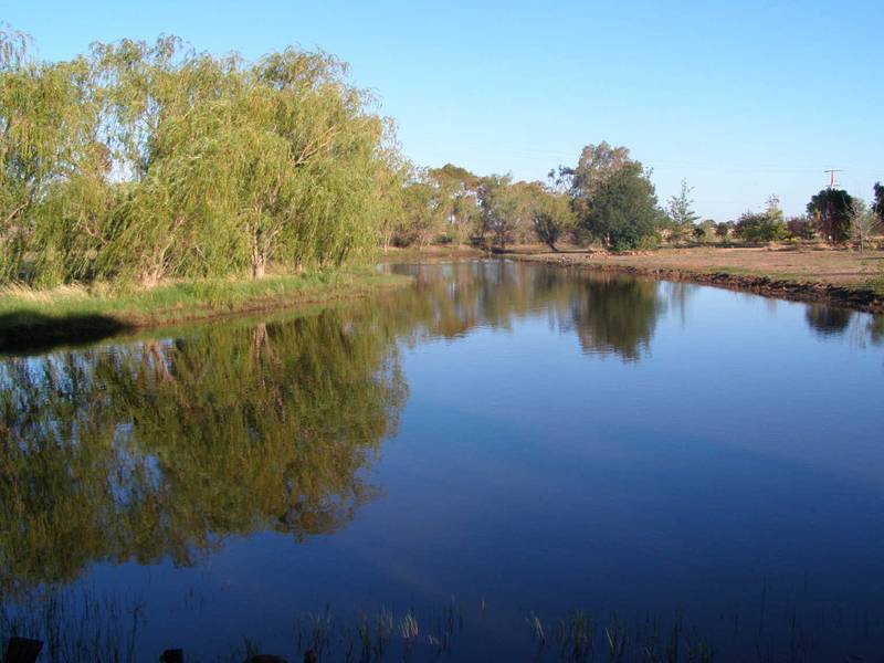 UNLIMITED POSSIBILITIES Picture 3