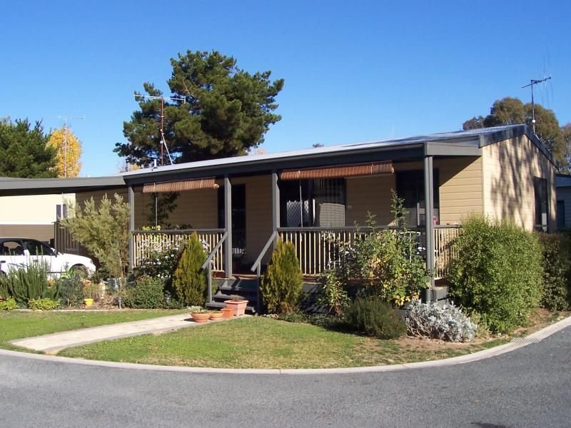 WHAT A BEAUTY Picture 1