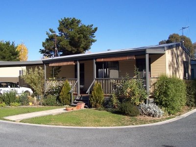 WHAT A BEAUTY Picture