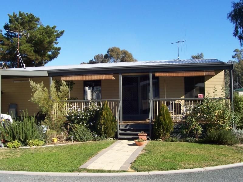 WHAT A BEAUTY Picture 2