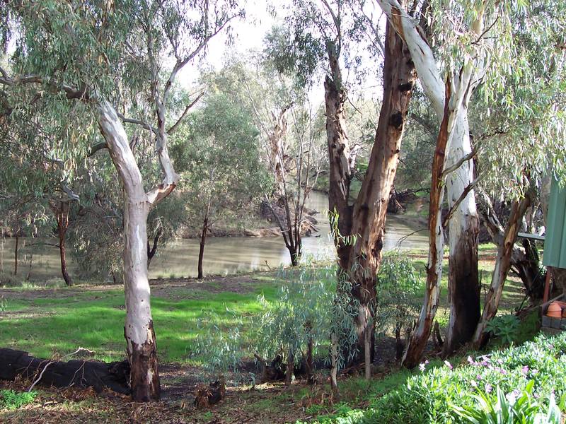 ONE MAN BUSINESS Picture 2