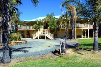 OASIS IN TOWN Picture OASIS IN TOWN Picture