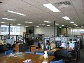 BRIGHT SMALL ST KILDA RD OFFICE OVERLOOKING FAWKNER PARK Picture BRIGHT SMALL ST KILDA RD OFFICE OVERLOOKING FAWKNER PARK Picture