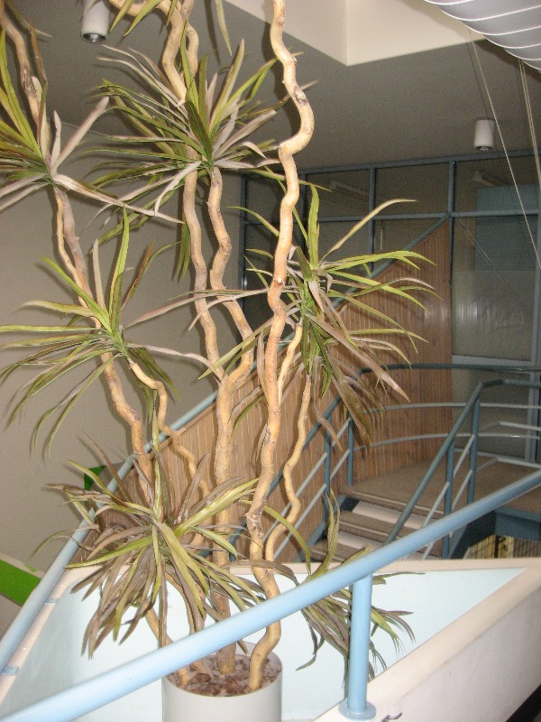 AFFORDABLE OFFICE Picture 3