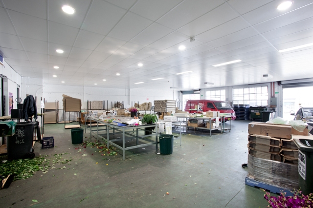 INVESTMENT WITH DEVELOPMENT OPPORTUNITY Picture 3