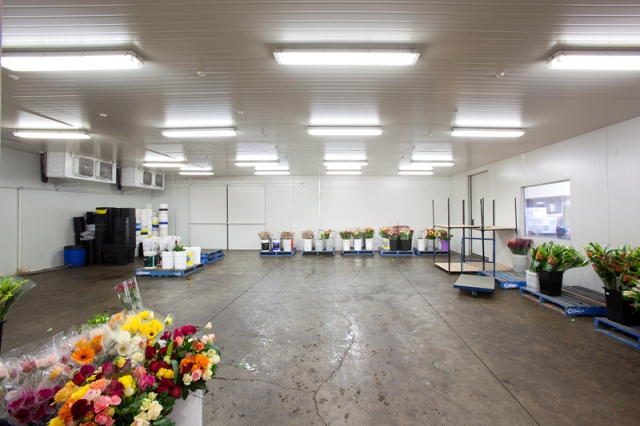 INVESTMENT WITH DEVELOPMENT OPPORTUNITY Picture 2