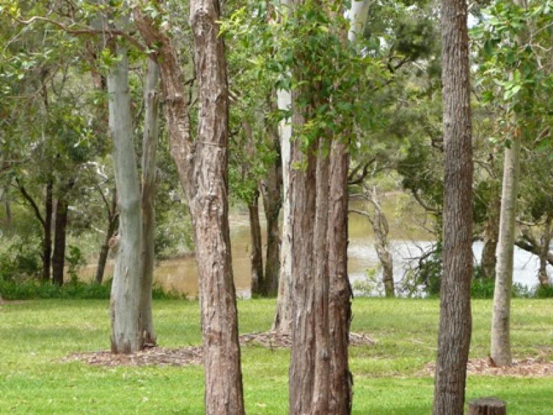 Very Tidy Van & Annex Picture 3