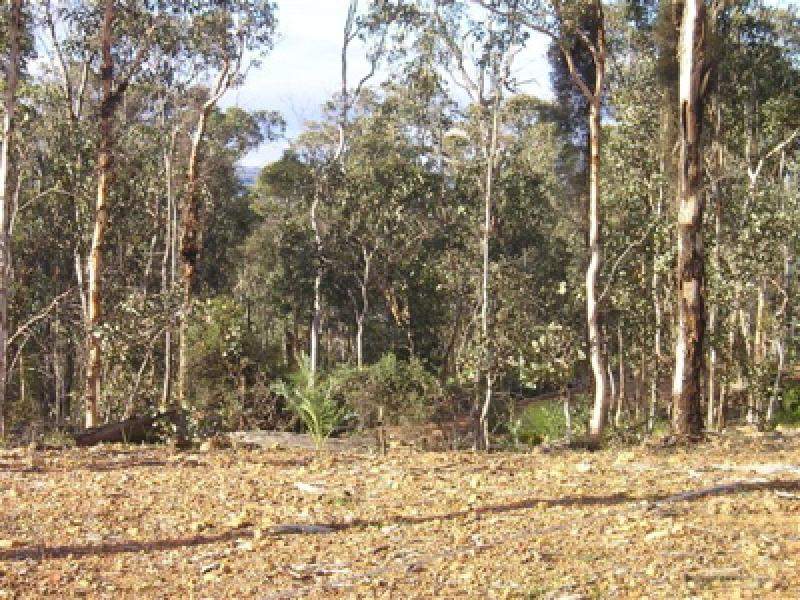 25 ACRES OF NATURE Picture 3