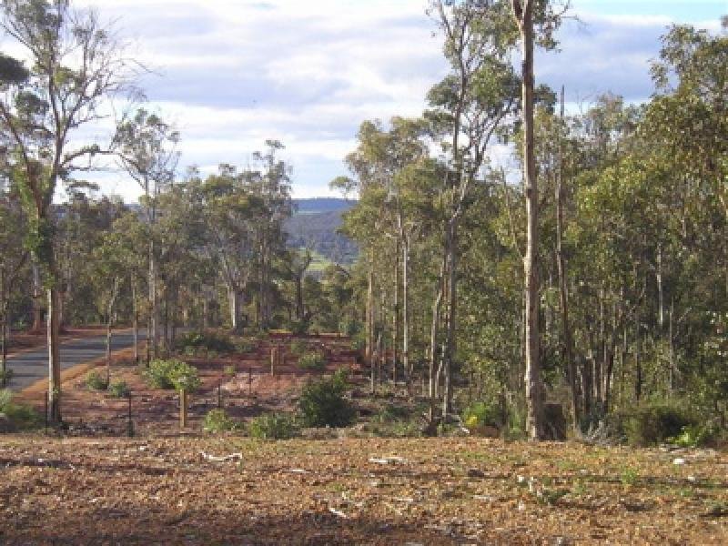 25 ACRES OF NATURE Picture 2