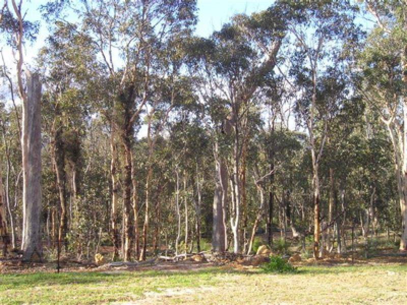 25 ACRES OF NATURE Picture 1