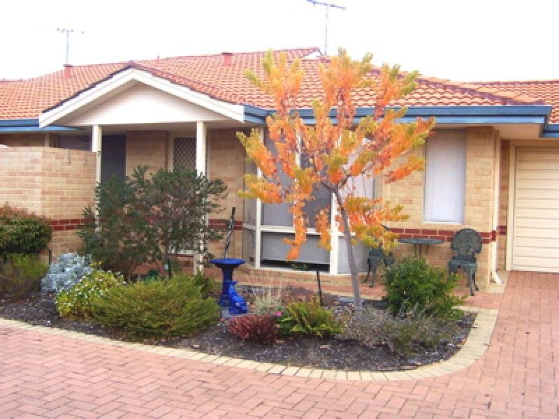 A LITTLE RIPPER Picture 1