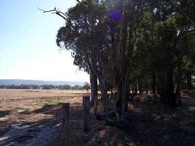 BASE OF FOOTHILLS - PINJARRA EAST Picture BASE OF FOOTHILLS - PINJARRA EAST Picture