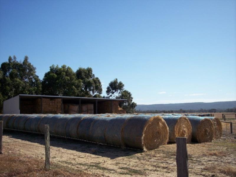 BASE OF FOOTHILLS - PINJARRA EAST Picture 2