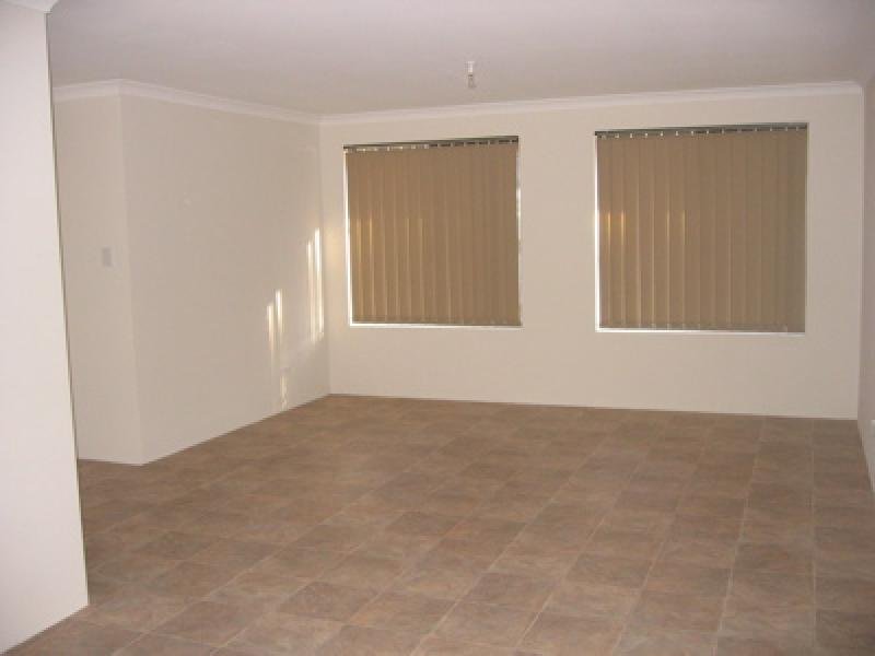 BRAND NEW UNIT Picture 3