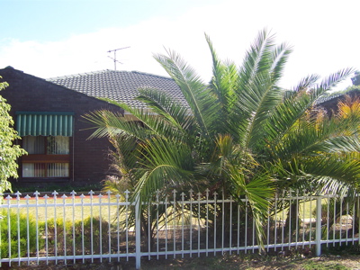 CENTRAL LOCATION Picture 3