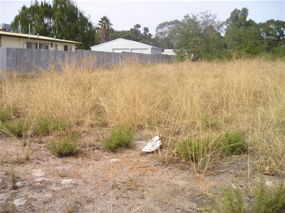 CHEAPEST BLOCK IN TOWN Picture 1