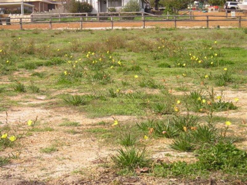 CHOICE OF FOUR Picture 2