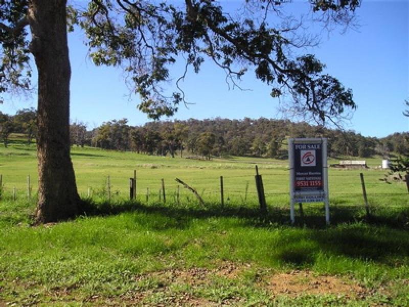 FOREST HILL ESTATE- OVER HALF SOLD BE QUICK Picture 3