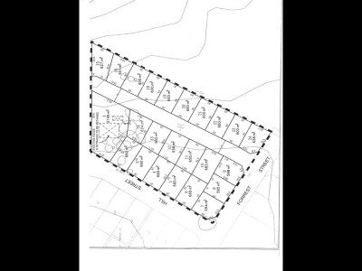 FOREST HILL ESTATE- OVER HALF SOLD BE QUICK Picture